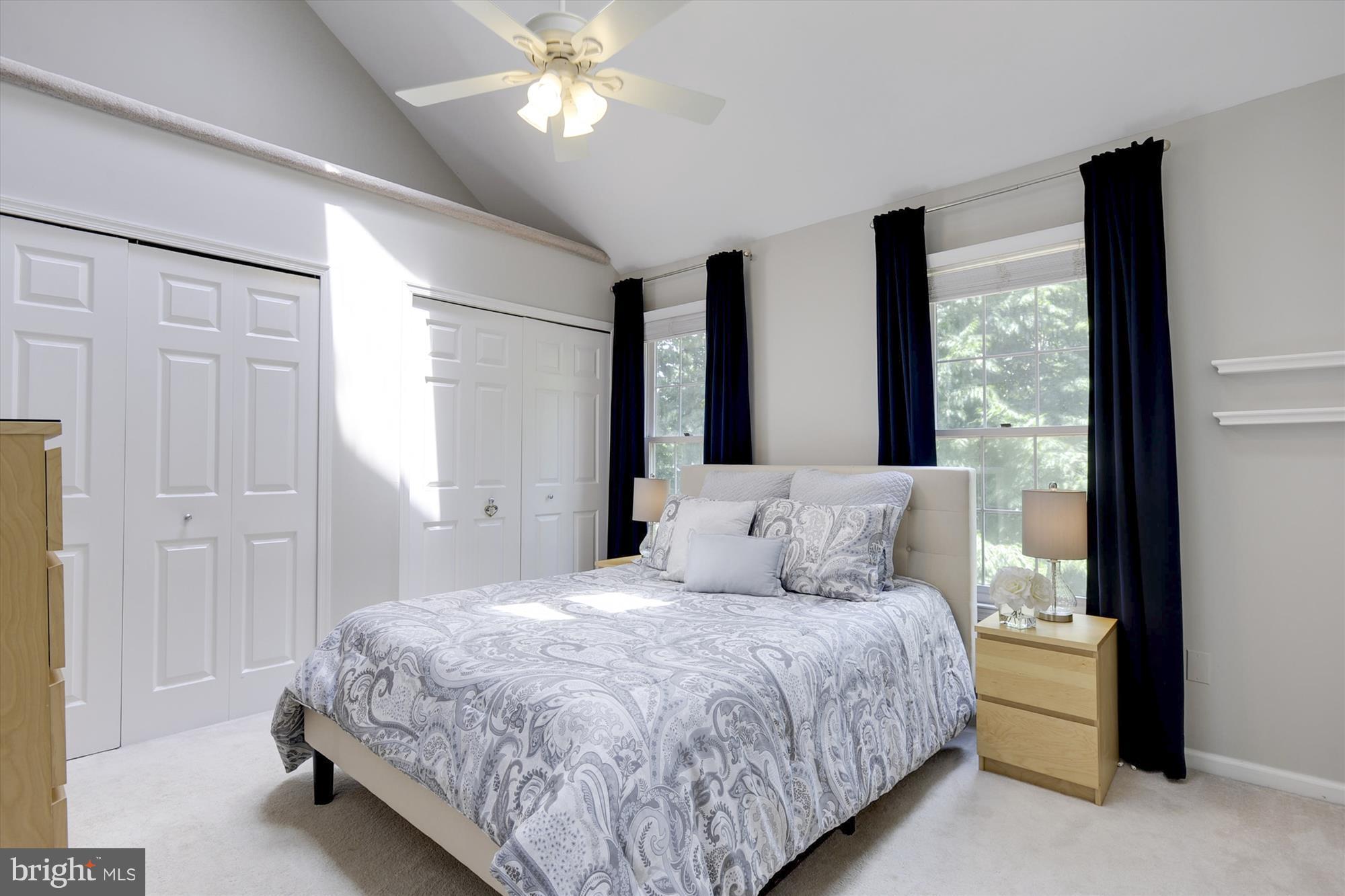 8428 Springfield Oaks Drive Springfield, VA 22153 - Photo 12 of 30 Multiple closets, vaulted ceiling and skylights