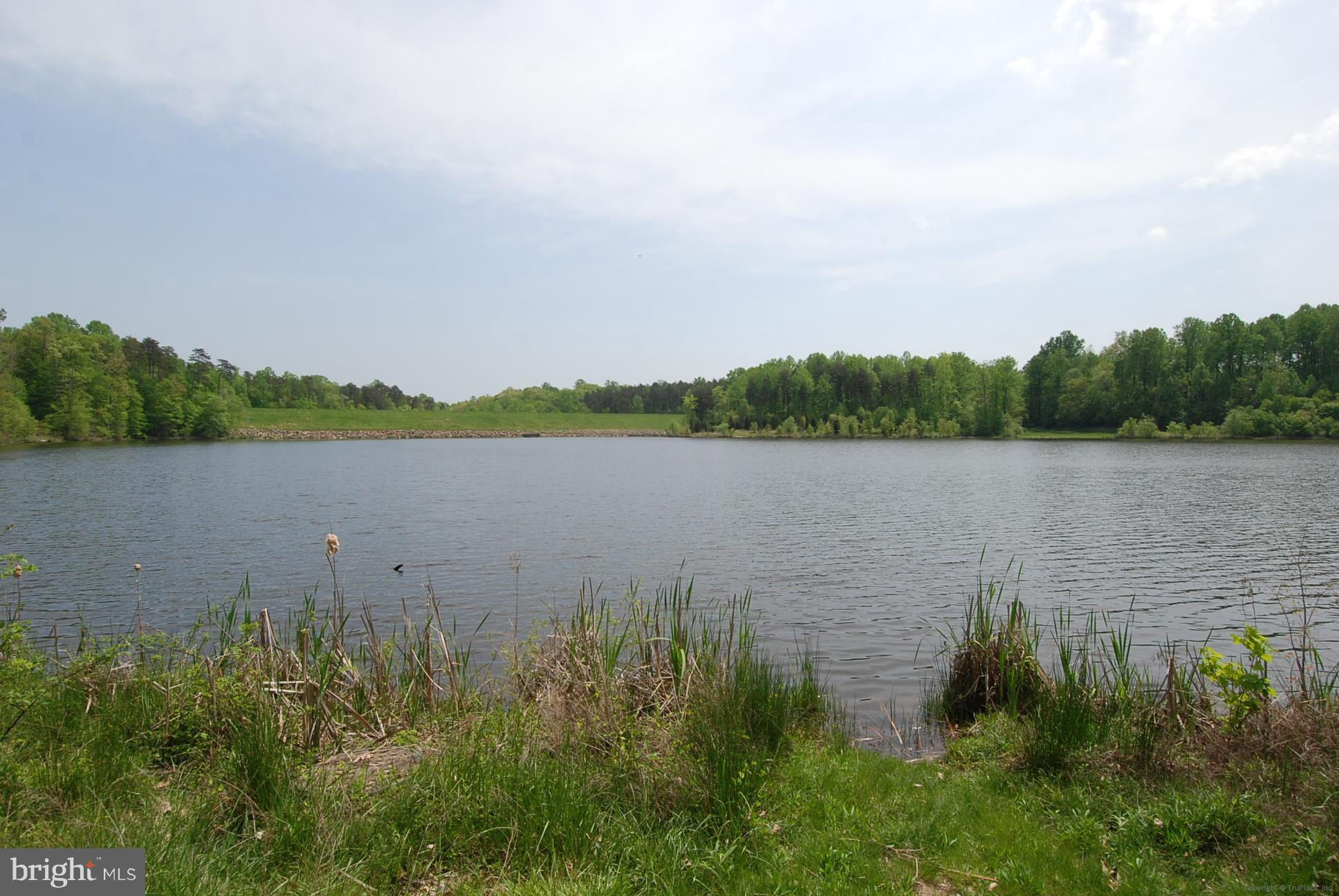 8428 Springfield Oaks Drive Springfield, VA 22153 - Photo 27 of 30 Lake Mercer nearby