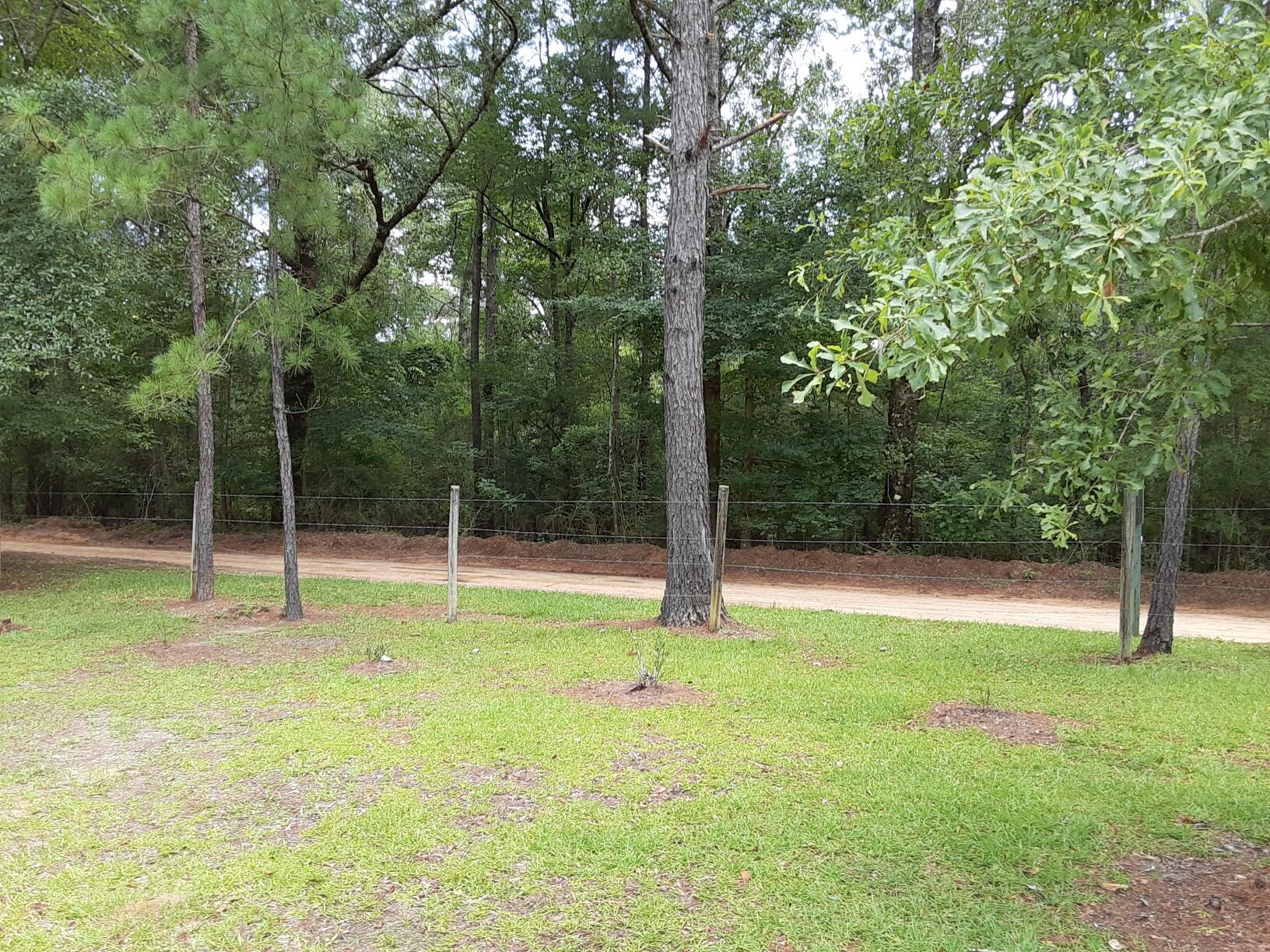 414 Bullard Church Road Baker, FL 32531 - Photo 20 of 33 IMG_0924