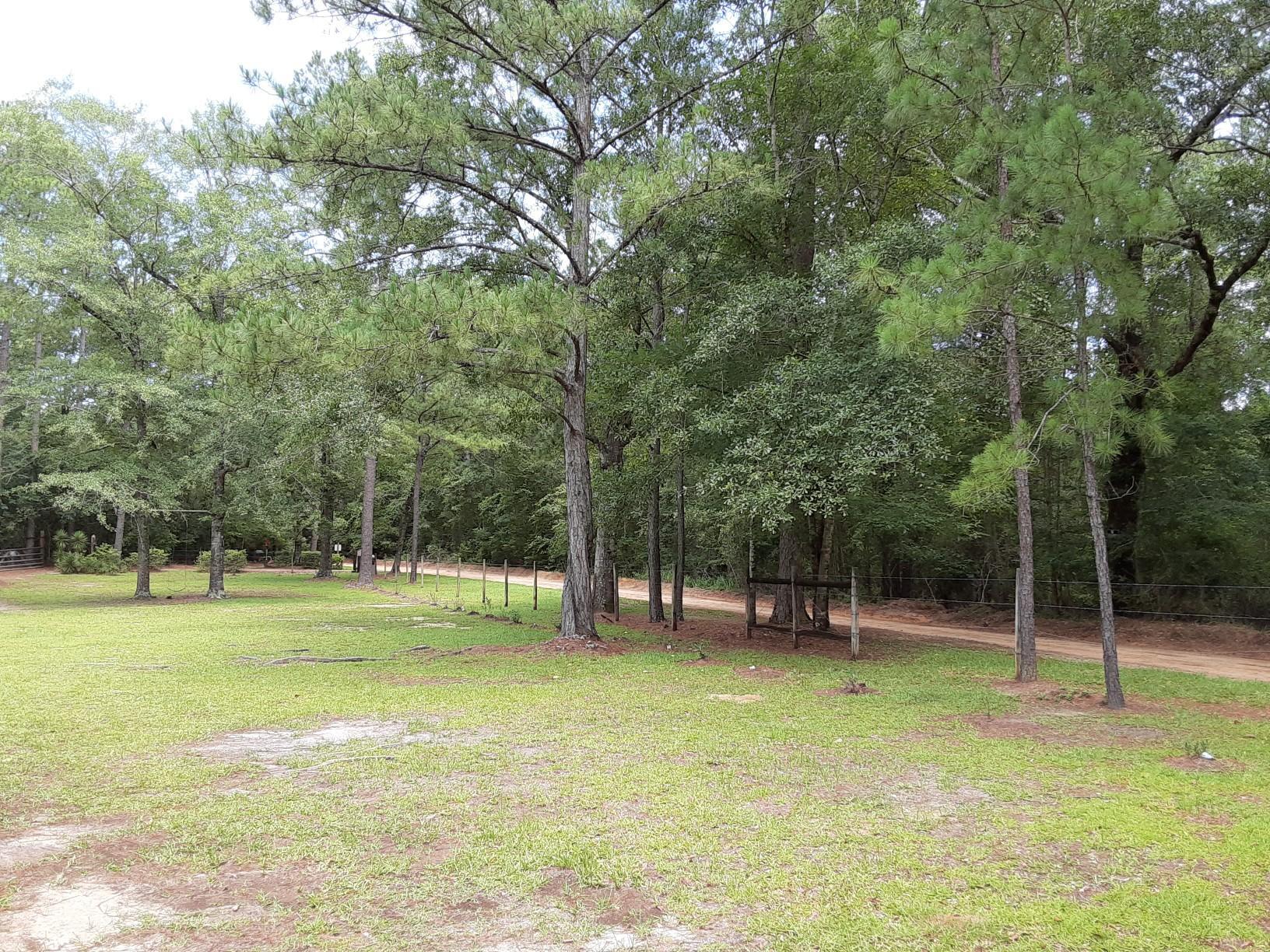 414 Bullard Church Road Baker, FL 32531 - Photo 21 of 33 IMG_0922