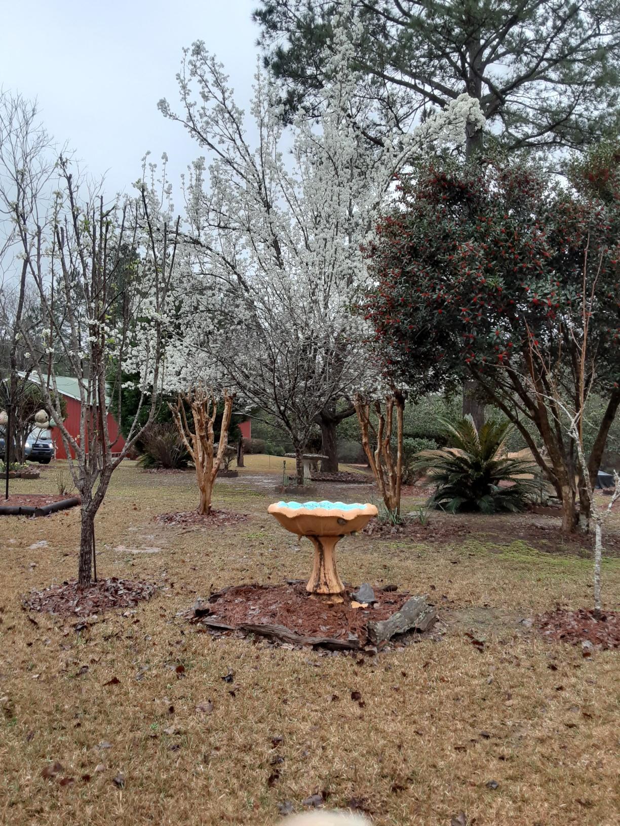 414 Bullard Church Road Baker, FL 32531 - Photo 29 of 33 IMG_0949