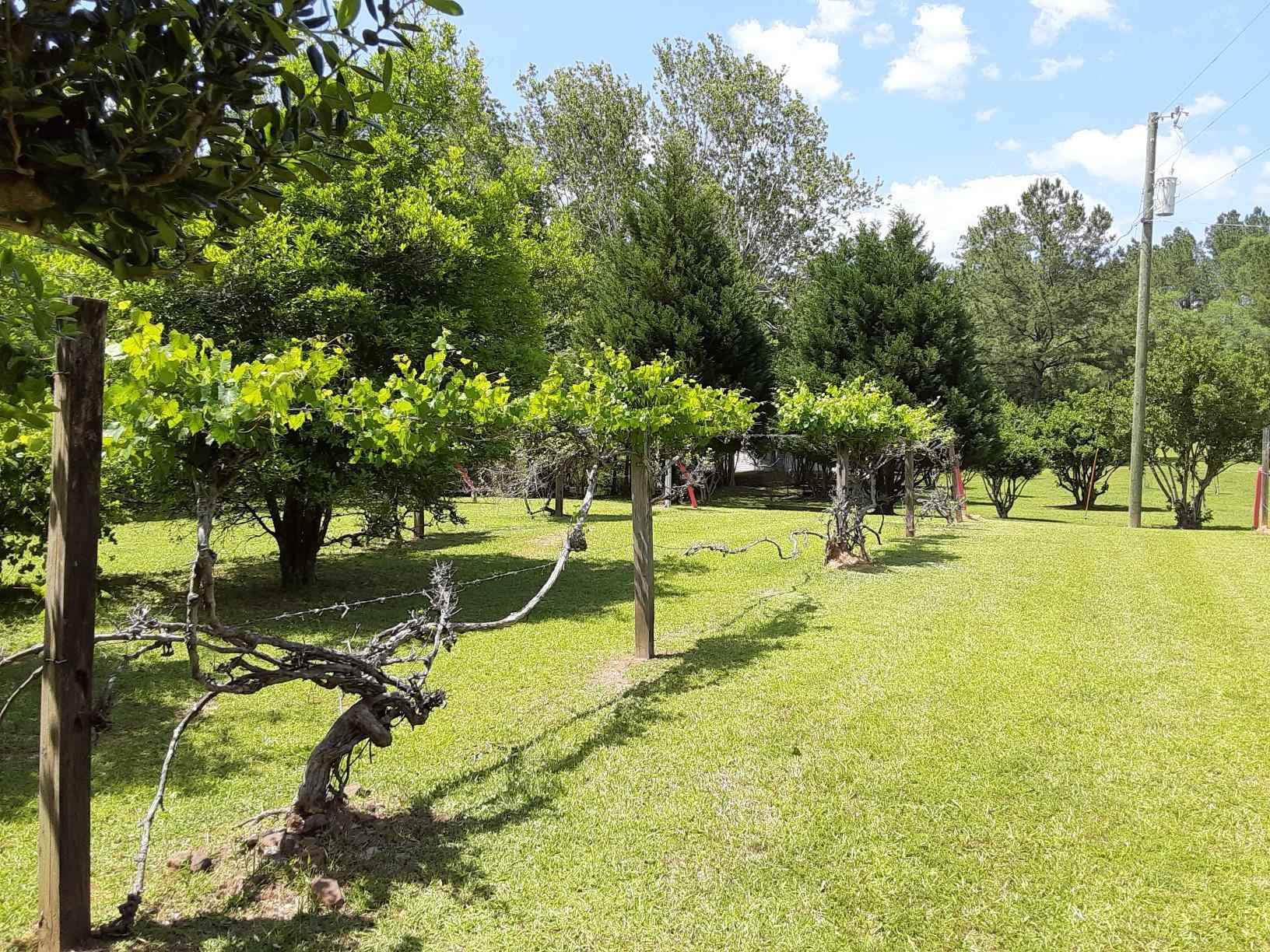 414 Bullard Church Road Baker, FL 32531 - Photo 33 of 33 IMG_0945