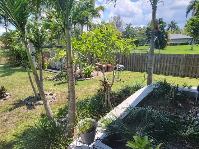 a view of a backyard with plants