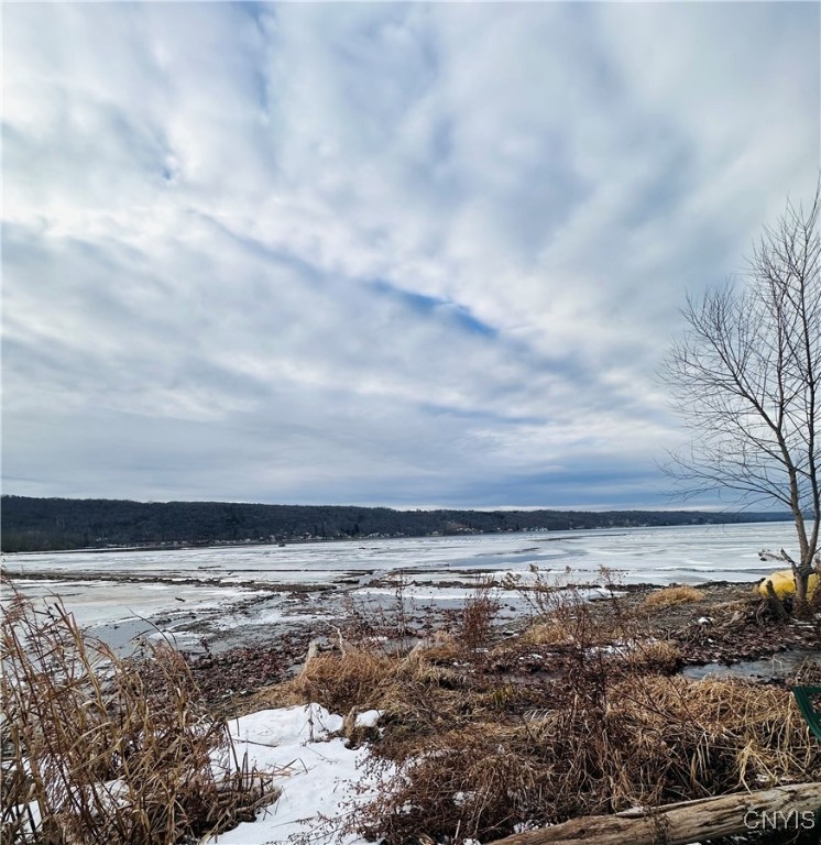 2931 Southeast On Owasco Road Moravia, NY 13118 - Photo 4 of 4