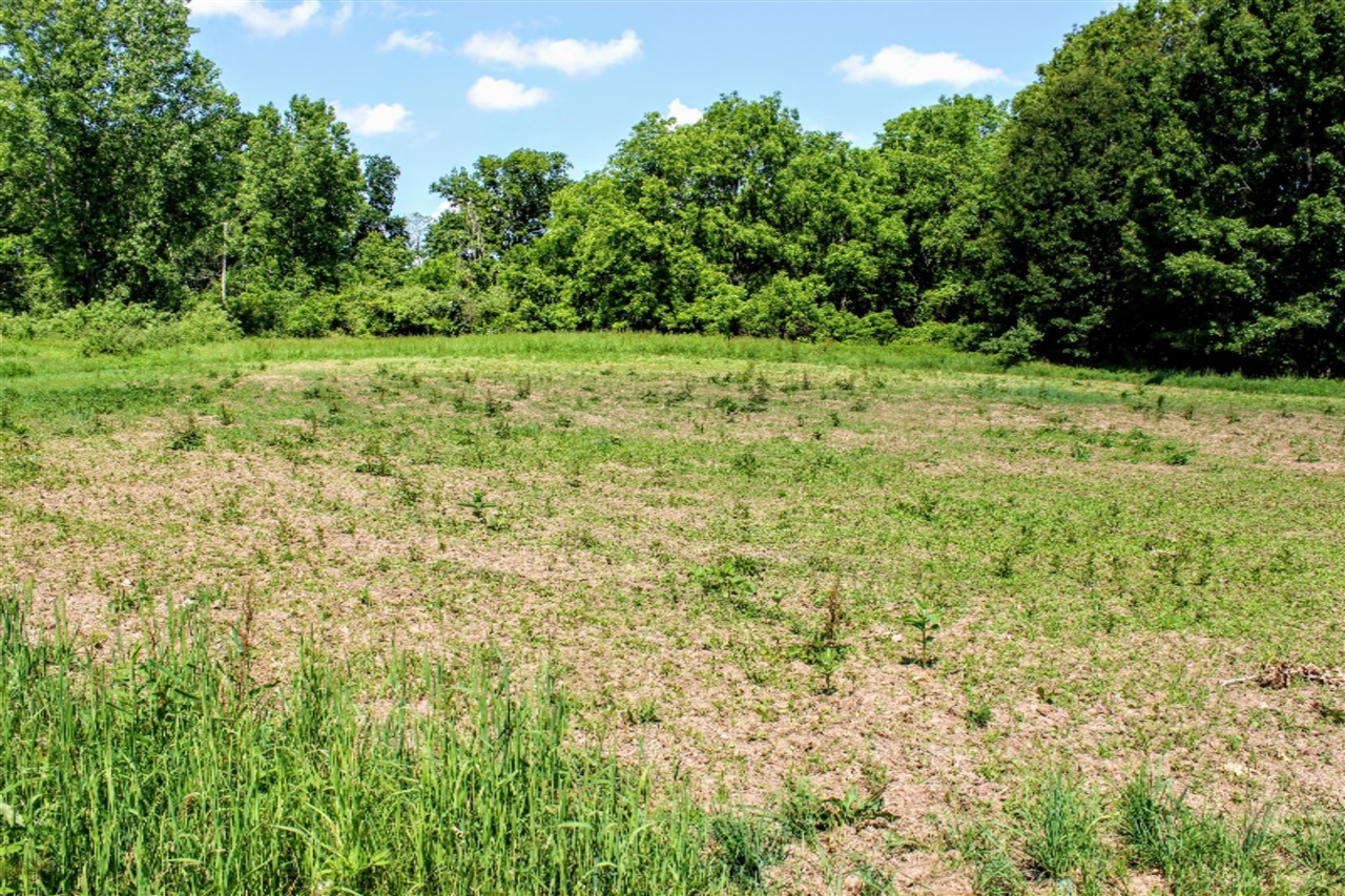 18218 27 Mile Road Springport, MI 49284 - Photo 29 of 64