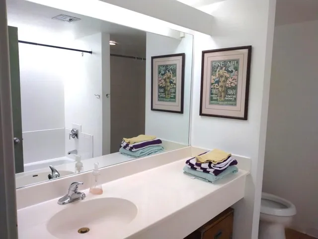 a bathroom with a sink toilet and a mirror