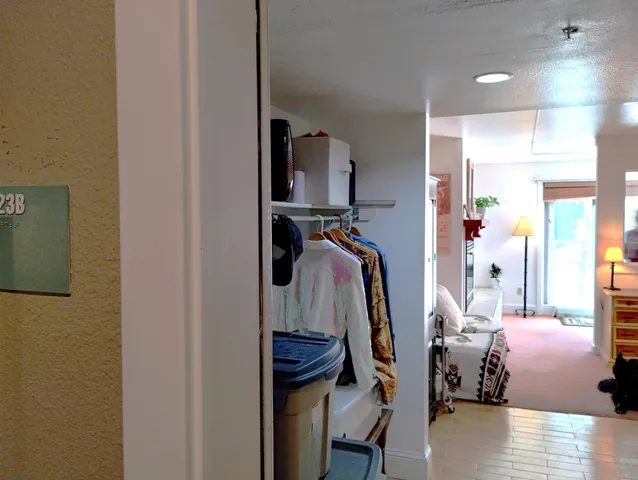 a view of walk in closet with clothes and shoes