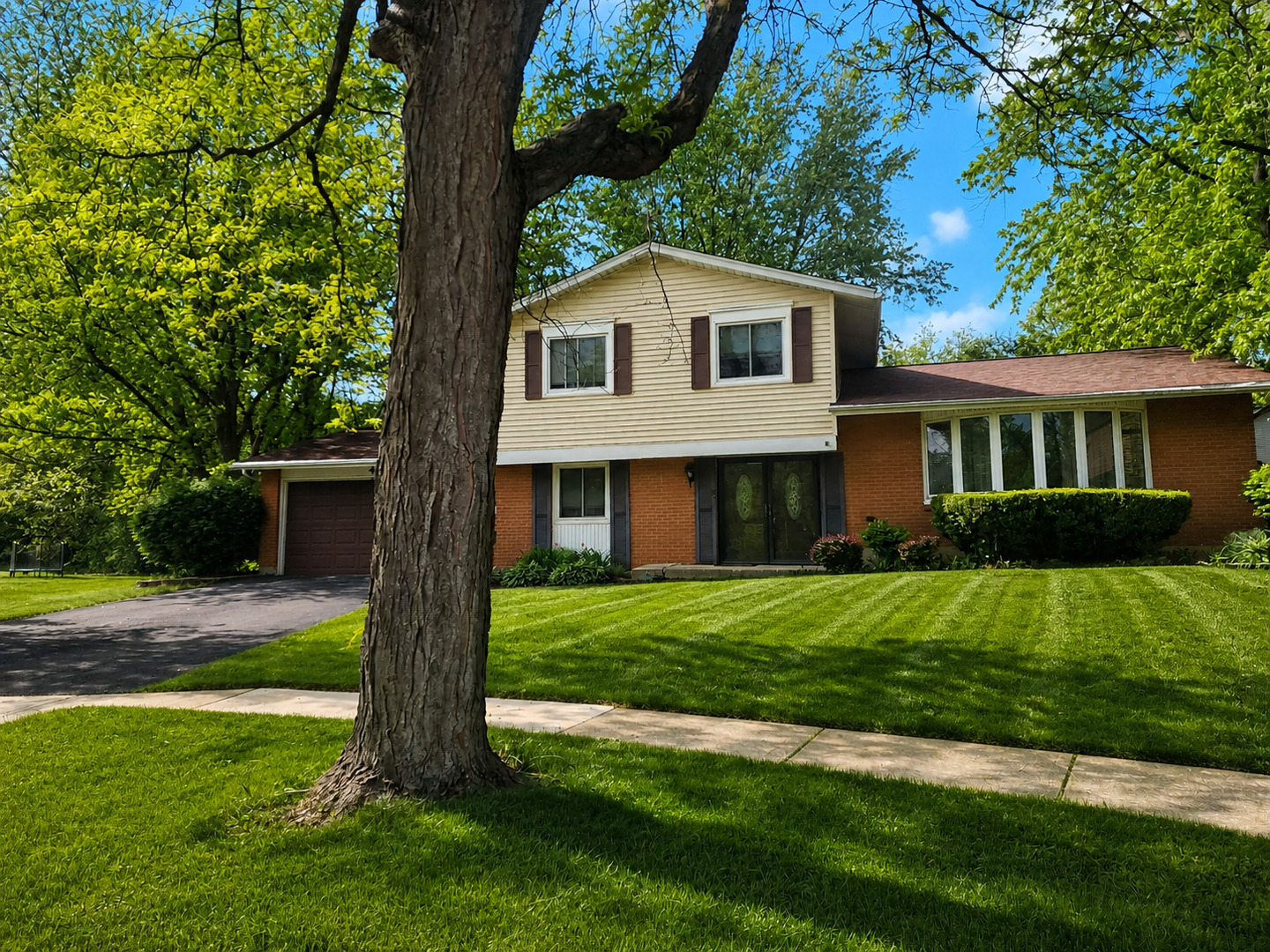 406 Assembly Drive Bolingbrook, IL 60440 - Photo 2 of 16