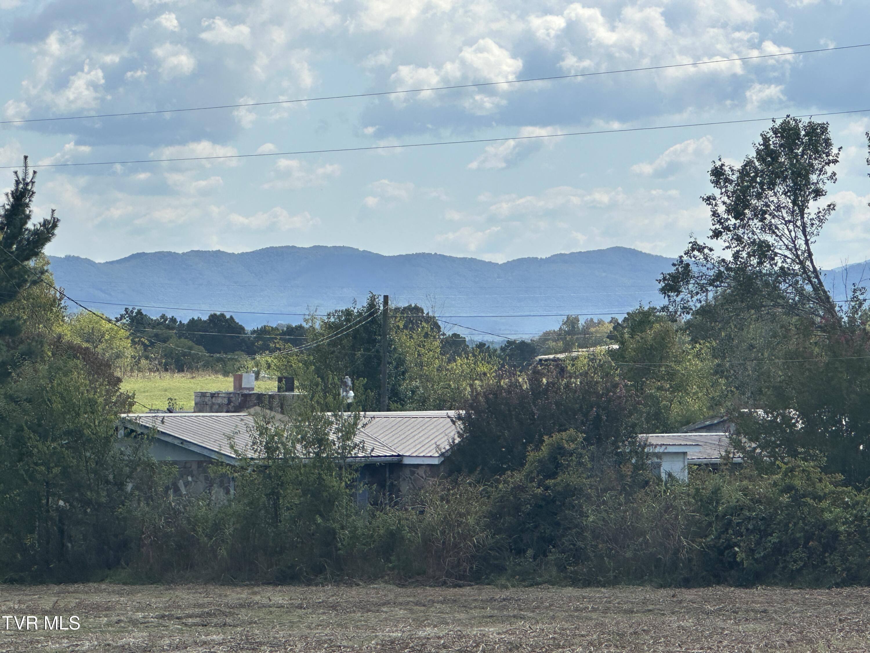 0 Pates Hill Road Mosheim, TN 37818 - Photo 3 of 13 IMG_2319
