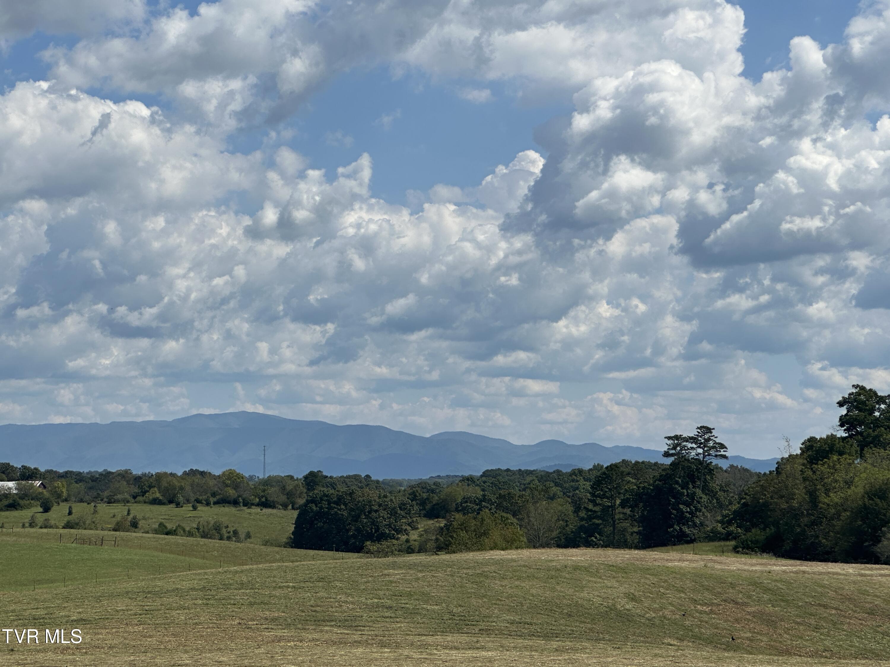 0 Pates Hill Road Mosheim, TN 37818 - Photo 7 of 13 IMG_2308