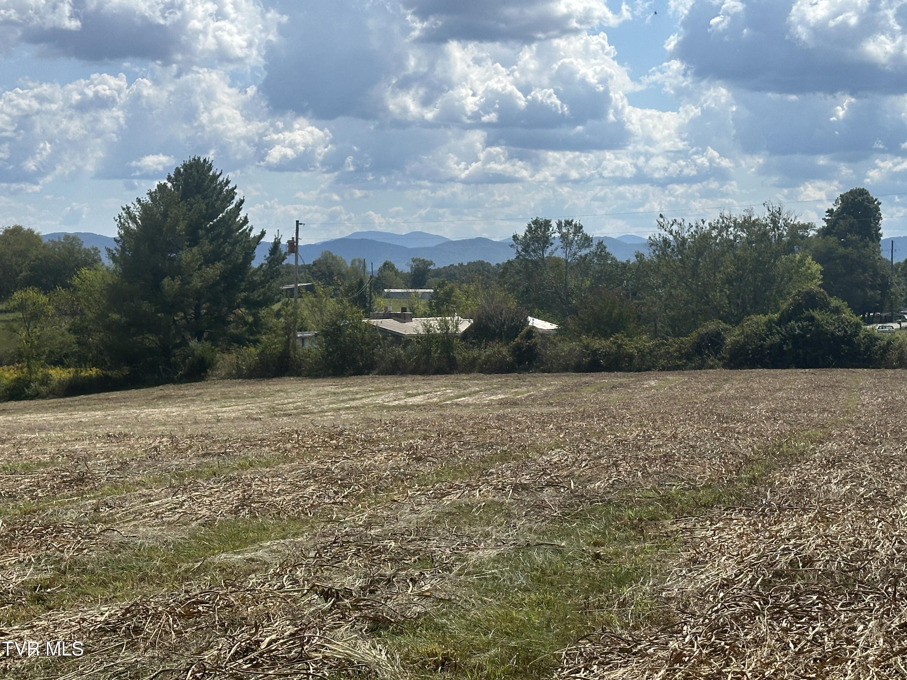 0 Pates Hill Road Mosheim, TN 37818 - Photo 8 of 13 IMG_2312