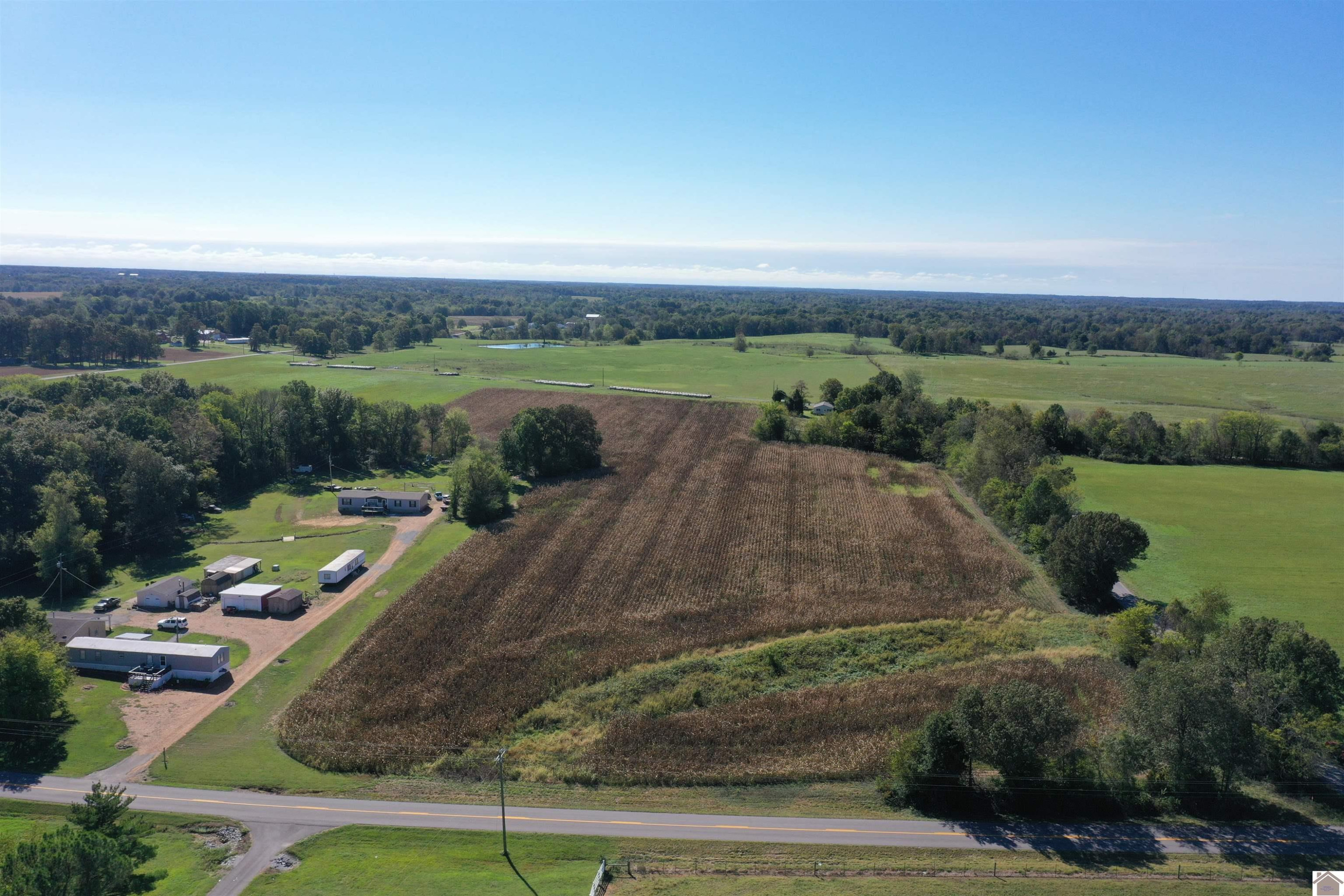 0 Backusburg Road Kirksey, KY 42054 - Photo 4 of 9 Photo 4