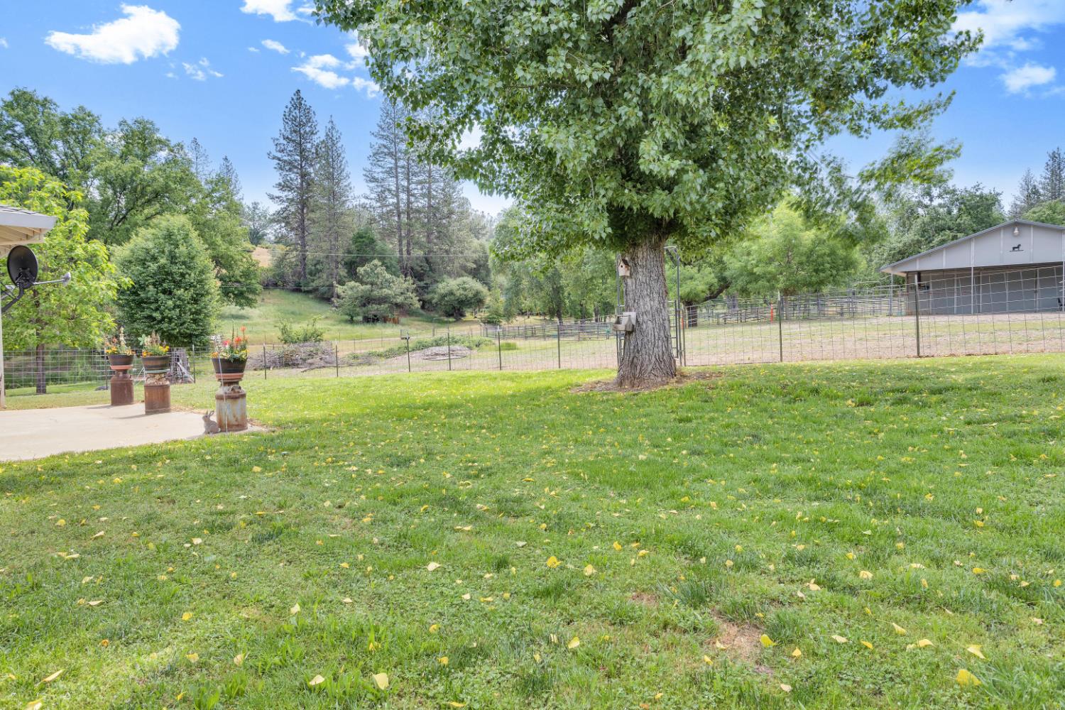 22025 Ferretti Road Groveland, CA 95321 - Photo 77 of 92
