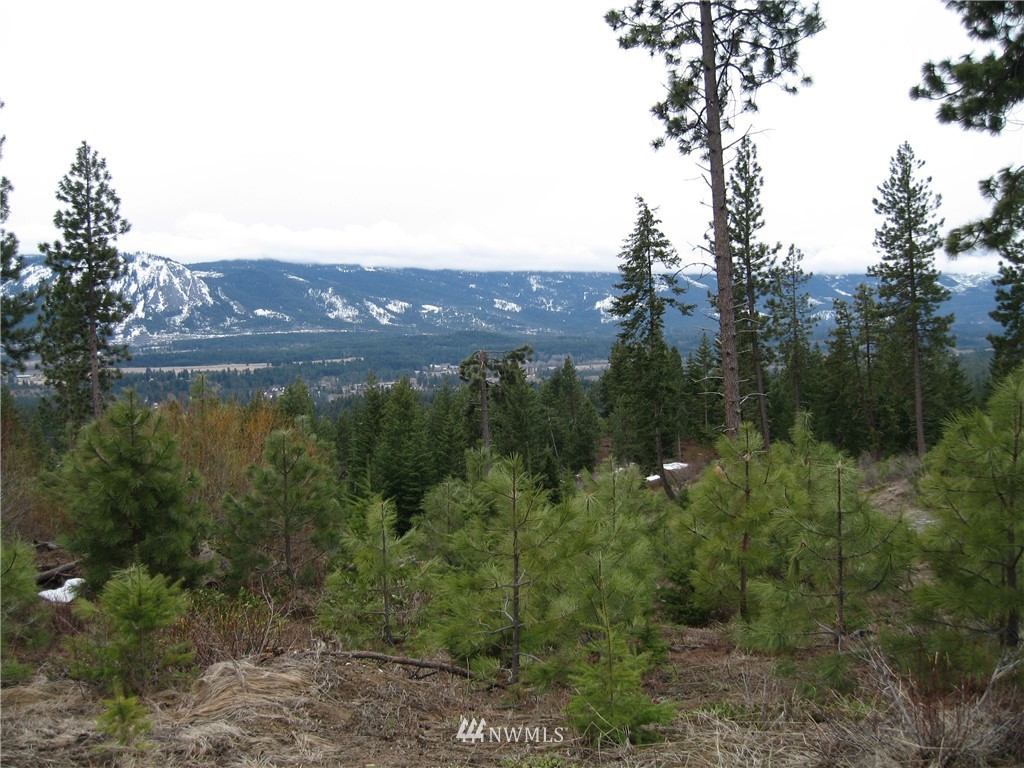 2 Summit View Road Cle Elum, WA 98922 - Photo 1 of 1 Gallery Image 1
