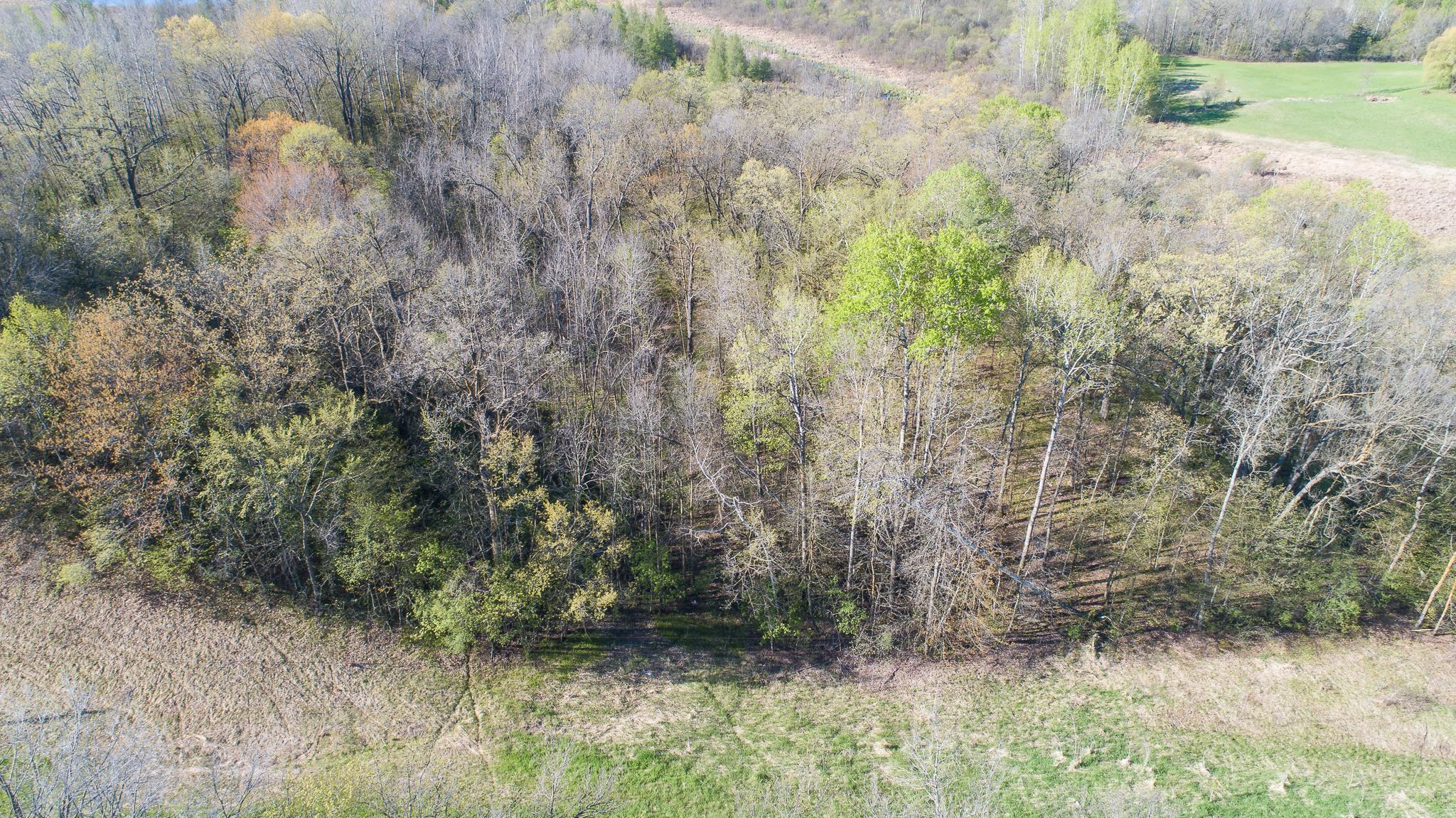 Tbd Spring Lake Road Northeast North Branch, MN 55056 - Photo 26 of 31