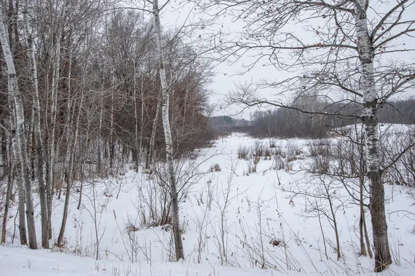 $149,900 | Tbd Spring Lake Road Northeast, North Branch, MN 55056