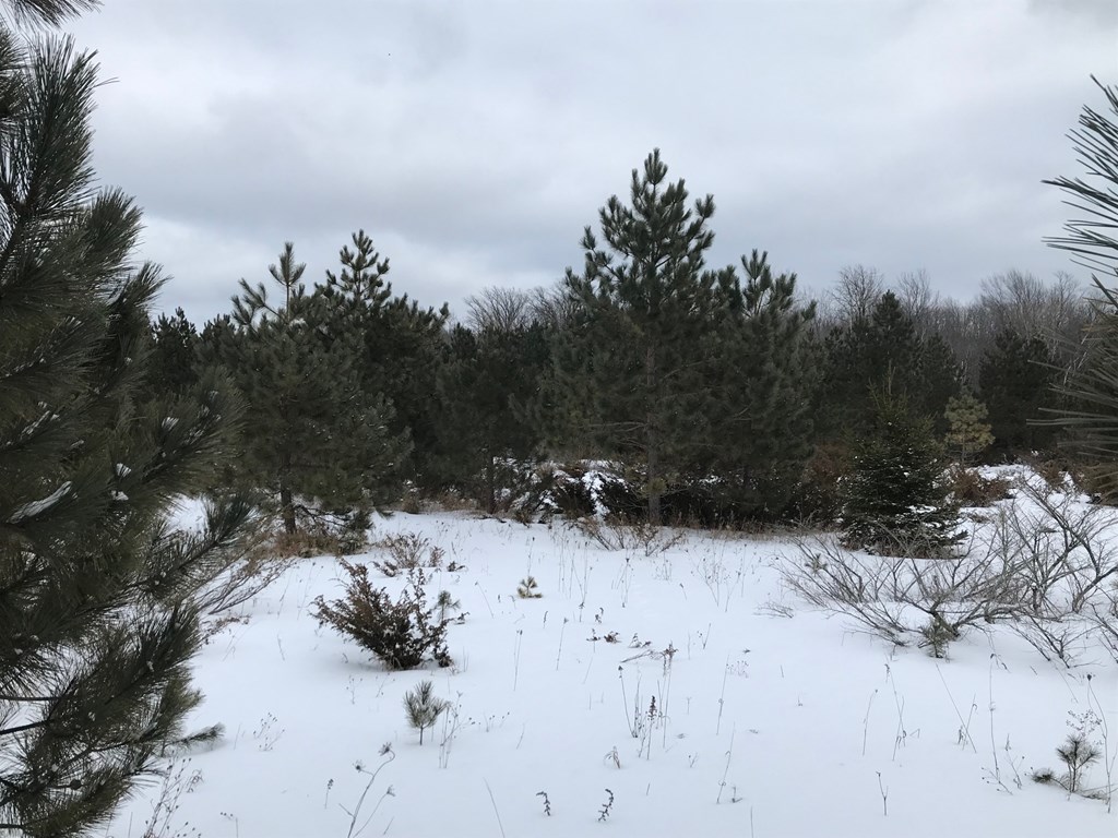 West Meadow Road Baileys Harbor, WI 54202 - Photo 5 of 11