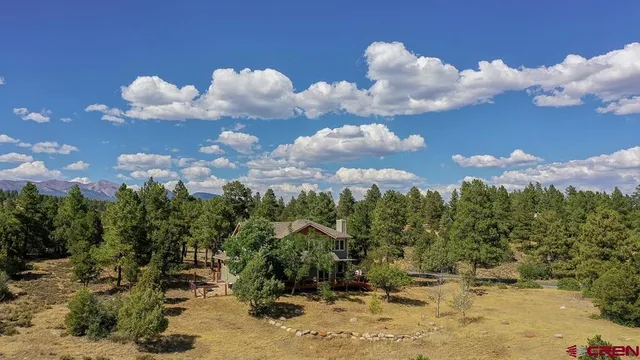 a view of a flower in a yard