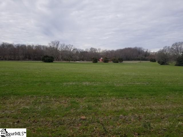 Carr Road Piedmont, SC 29673 - Photo 2 of 11 Gallery Image 2