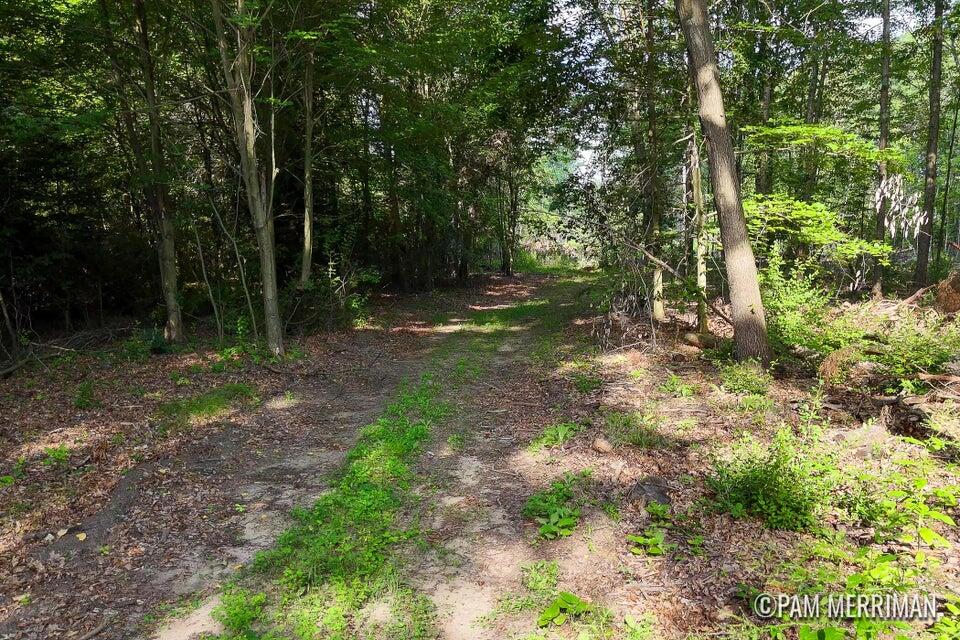 Parcel E West Willard Road Trufant, MI 49347 - Photo 1 of 5 Parcel E 10.14 acres