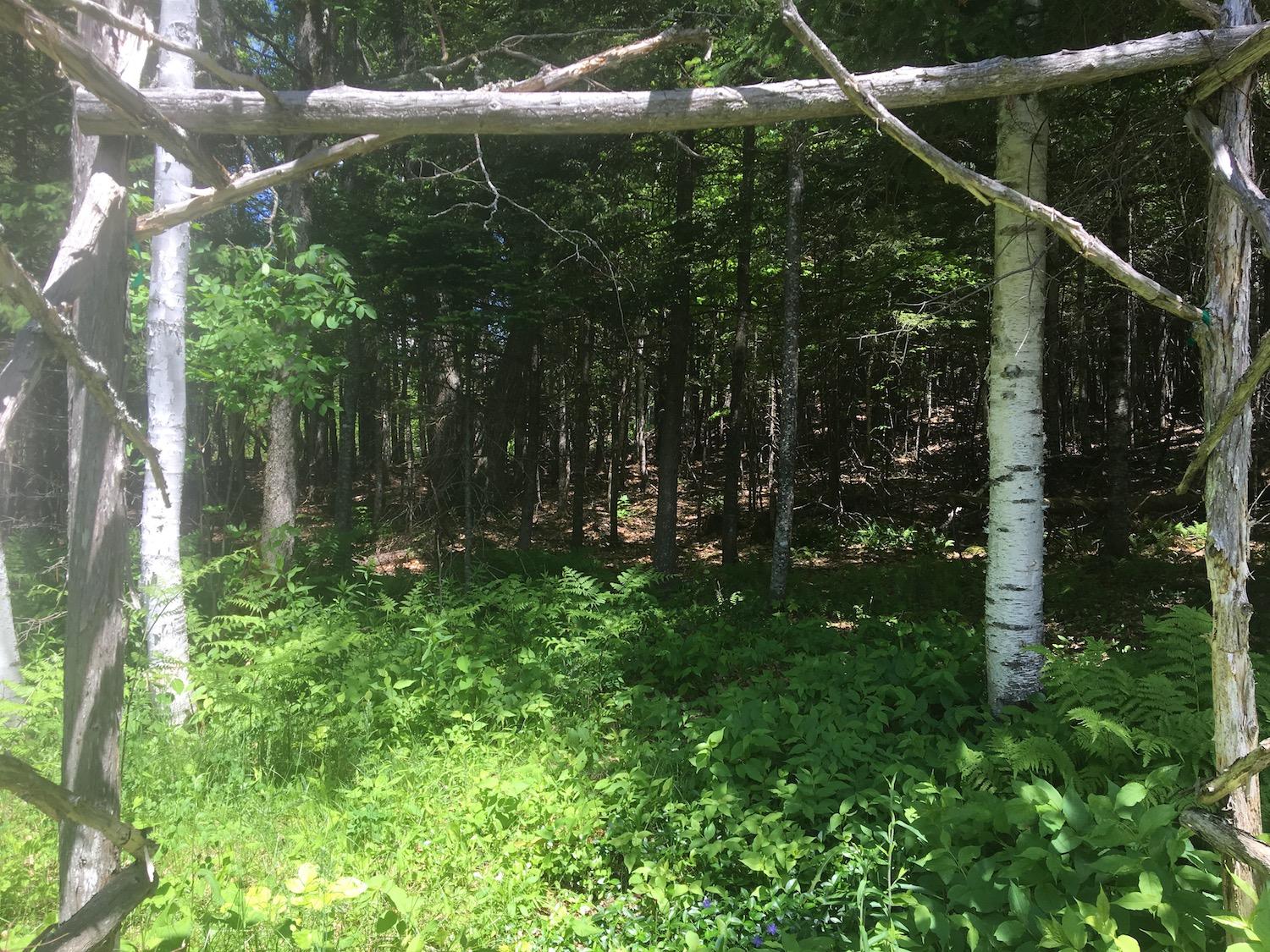 823 Grindstone Road Medway, ME 04460 - Photo 41 of 41 IMG_8060