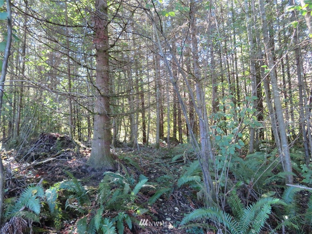 -xxx 140th Avenue Southwest Rochester, WA 98579 - Photo 22 of 26 Gallery Image 22