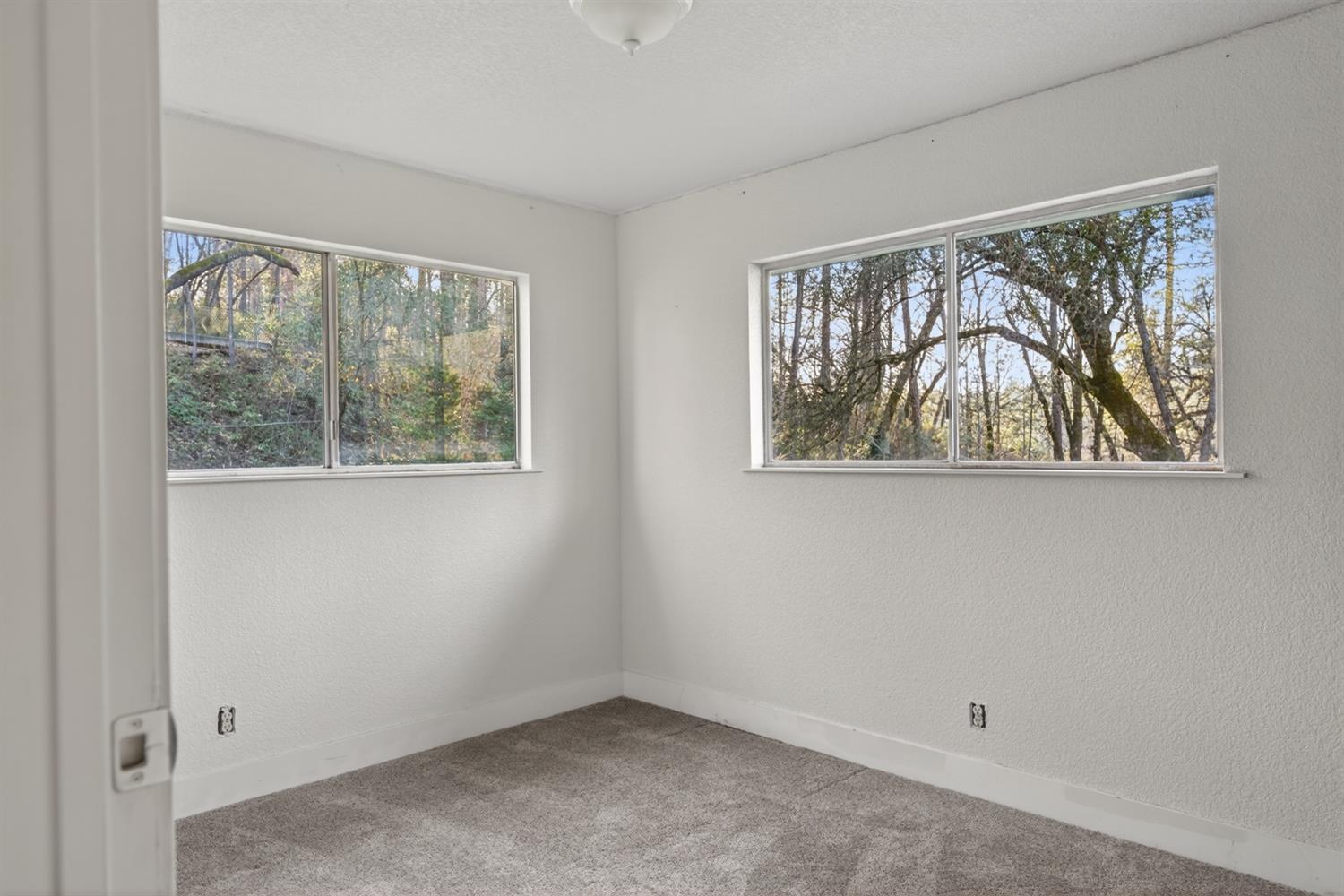 805 Country Road Meadow Vista, CA 95722 - Photo 15 of 44