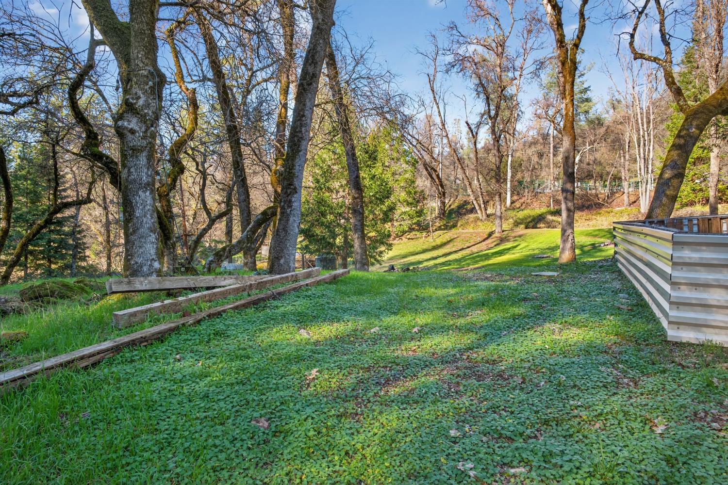 805 Country Road Meadow Vista, CA 95722 - Photo 37 of 44