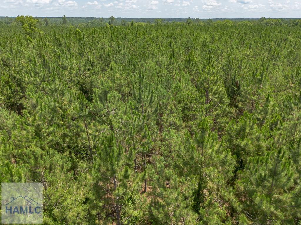0 Oriole Road Odum, GA 31555 - Photo 9 of 24 Gallery Image 9