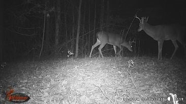 Tbd Lincoln Road, Unit 3 Galax, VA 24333 - Photo 6 of 64 Gallery Image 6