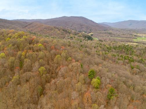 0 Adventure Mountain Road Montvale, VA 24122 - Photo 1 of 8 uzqg8getiw