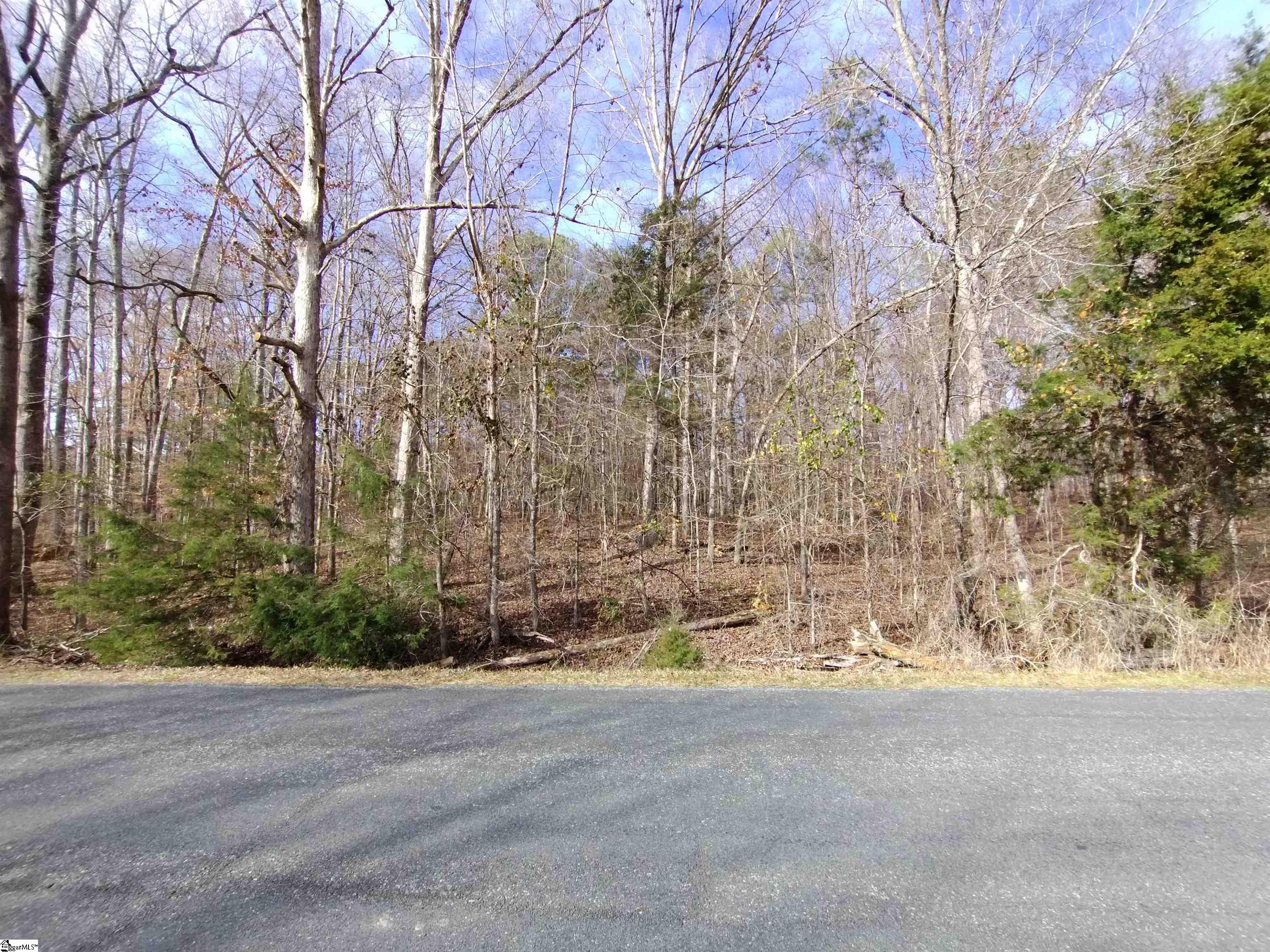 0 Easy Road Laurens, SC 29360 - Photo 1 of 4 Gallery Image 1