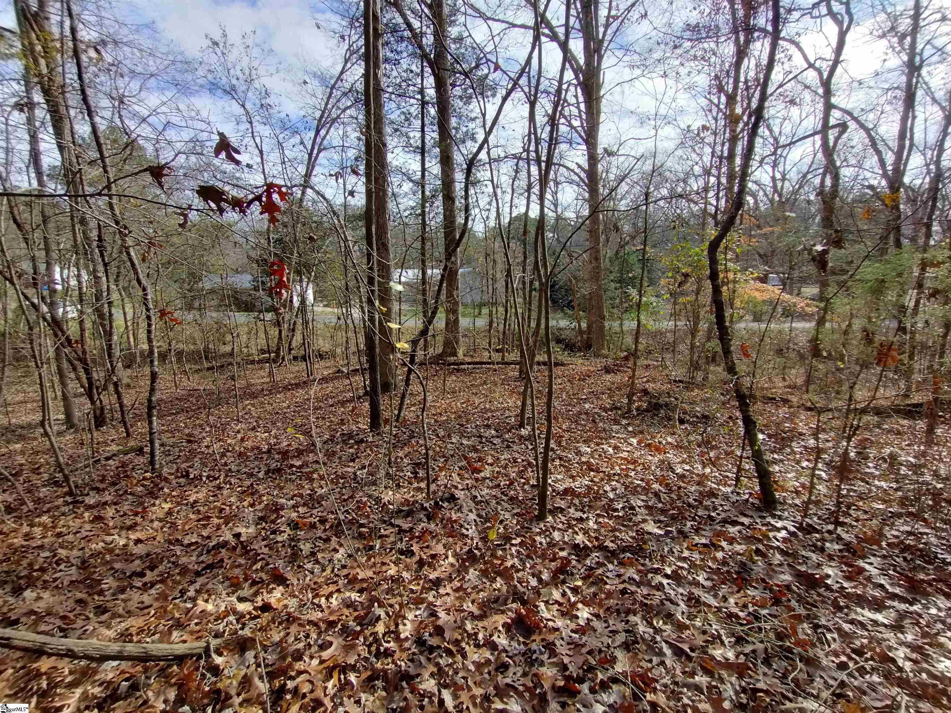 0 Easy Road Laurens, SC 29360 - Photo 2 of 4 Gallery Image 2