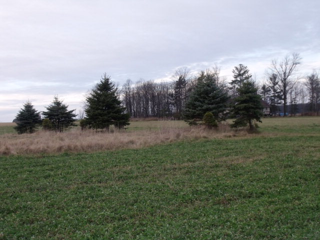 Oak Road Egg Harbor, WI 54209 - Photo 1 of 1