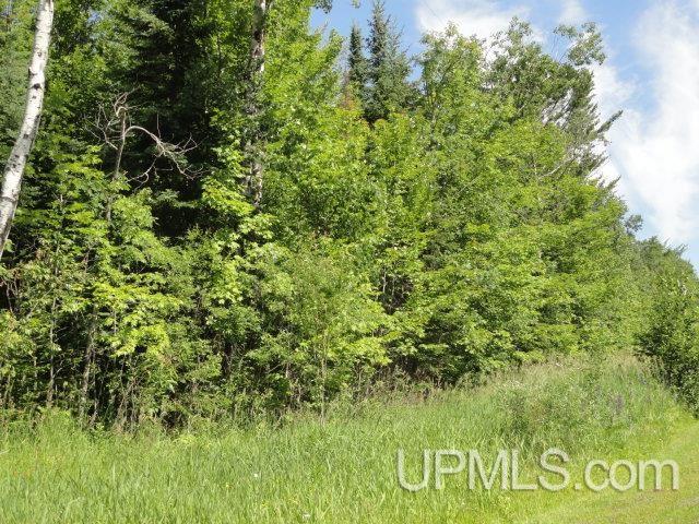 Tbd Puuri Road Baraga, MI 49908 - Photo 17 of 20