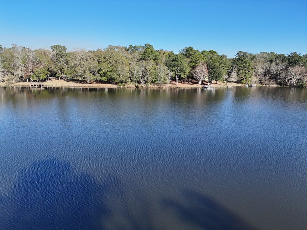 0 Parcel Ochlocknee, GA 31773 - Photo 11 of 12 Gallery Image 11