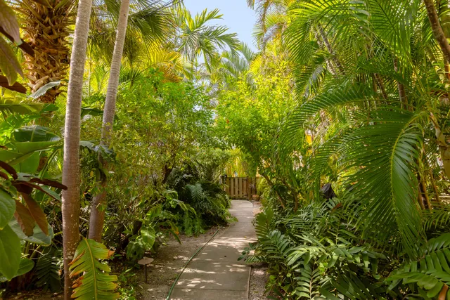a view of swimming pool with chairs