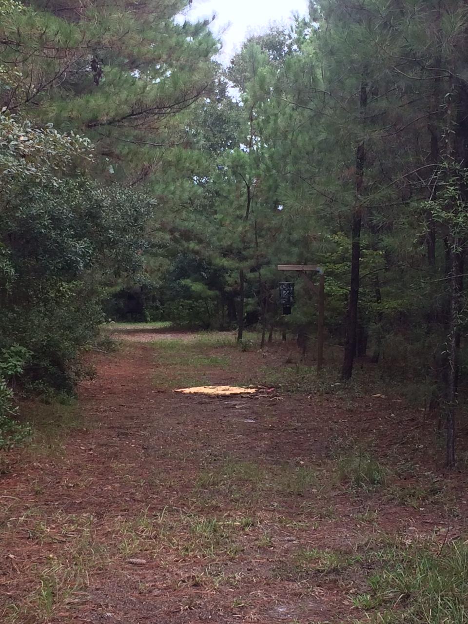 1135 Westgate Road Walterboro, SC 29488 - Photo 1 of 5 IMG_0214