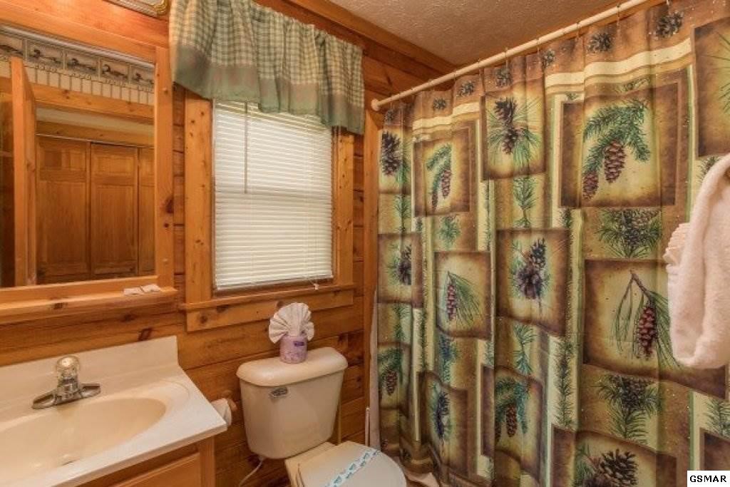 704 Grey Hawk Way Pigeon Forge, TN 37863 - Photo 22 of 29