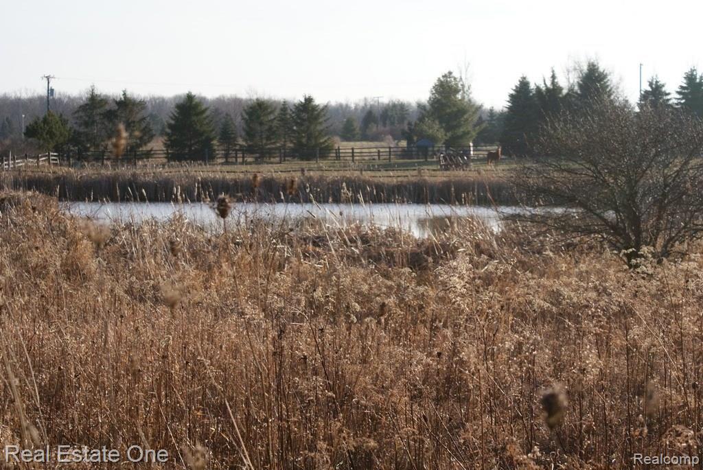 D Elba Road Lapeer, MI 48446 - Photo 5 of 6