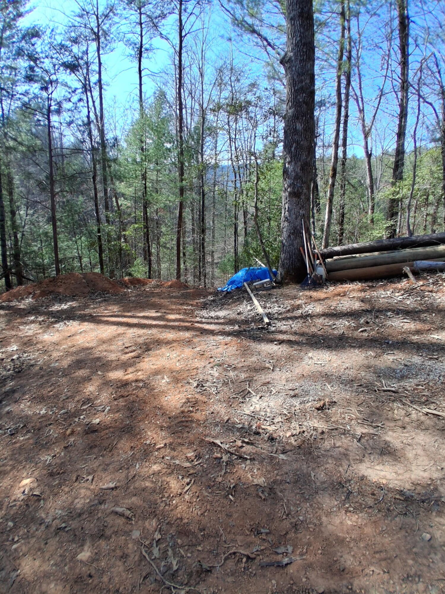 0 Tinker Branch Road Reliance, TN 37369 - Photo 2 of 17