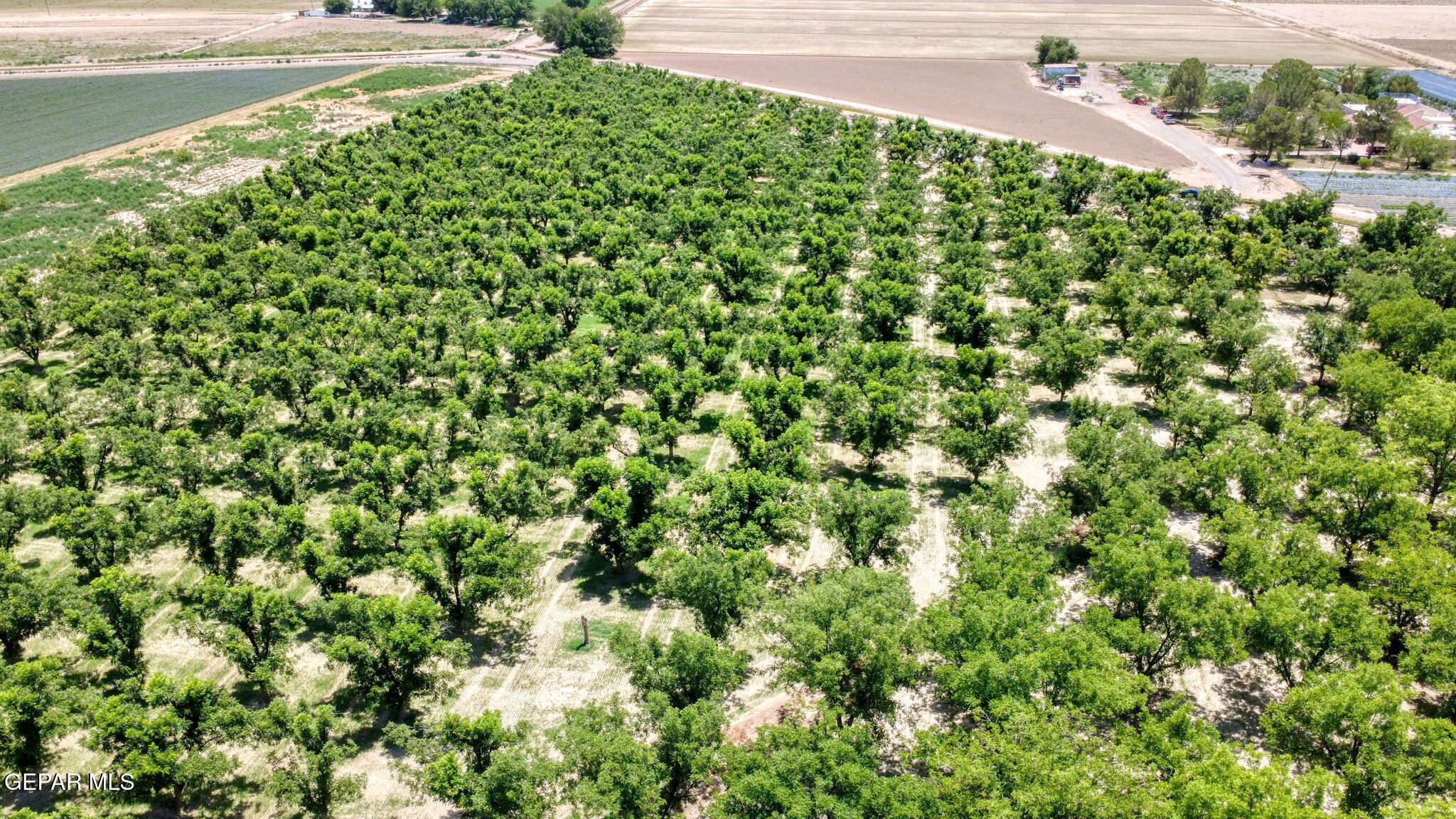 Tbd Wallace Road Anthony, NM 88021 - Photo 8 of 15 14-web-or-mls-DJI_0939