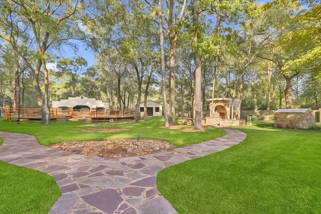 a view of a park with large trees