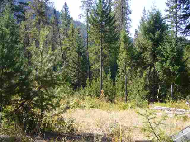 0 Waitts Lake Road Valley, WA 99181 - Photo 3 of 6 Gallery Image 3