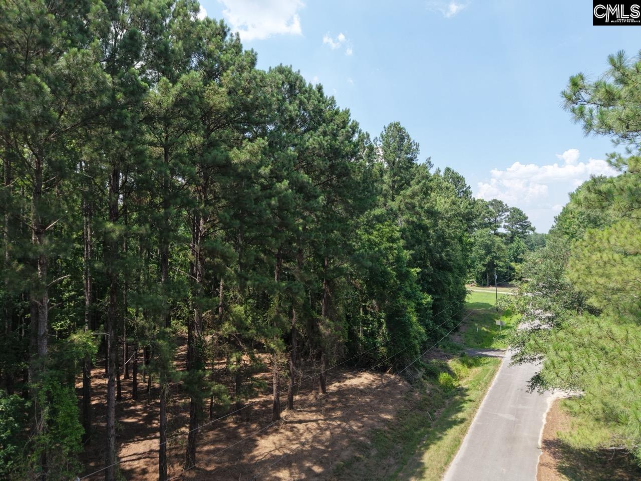 0 Peace Lane Bowman, SC 29018 - Photo 4 of 13