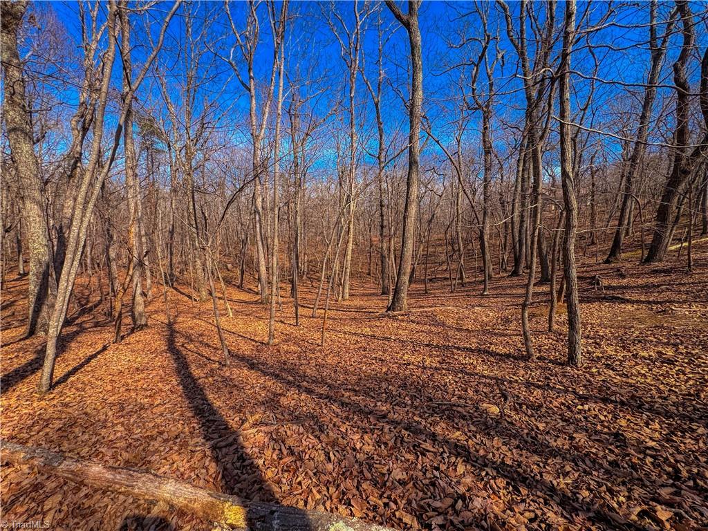 863 Sierra Trace Road Denton, NC 27239 - Photo 11 of 37