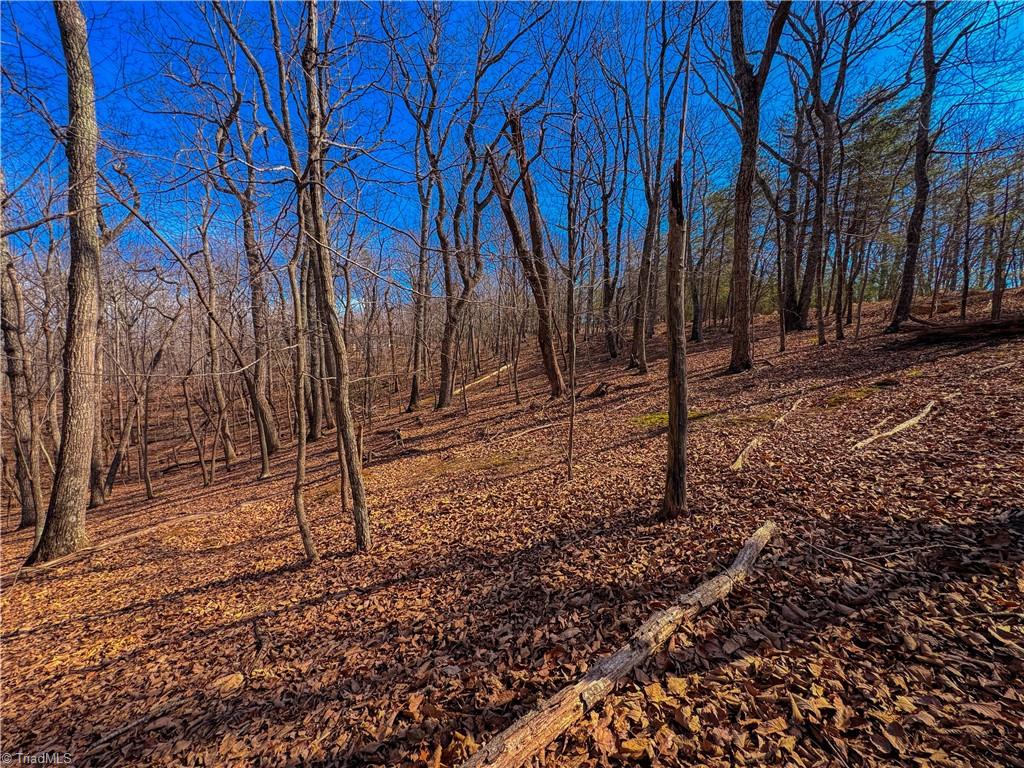 863 Sierra Trace Road Denton, NC 27239 - Photo 12 of 37