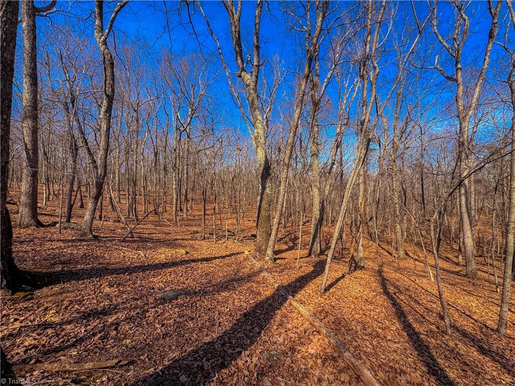 863 Sierra Trace Road Denton, NC 27239 - Photo 13 of 37