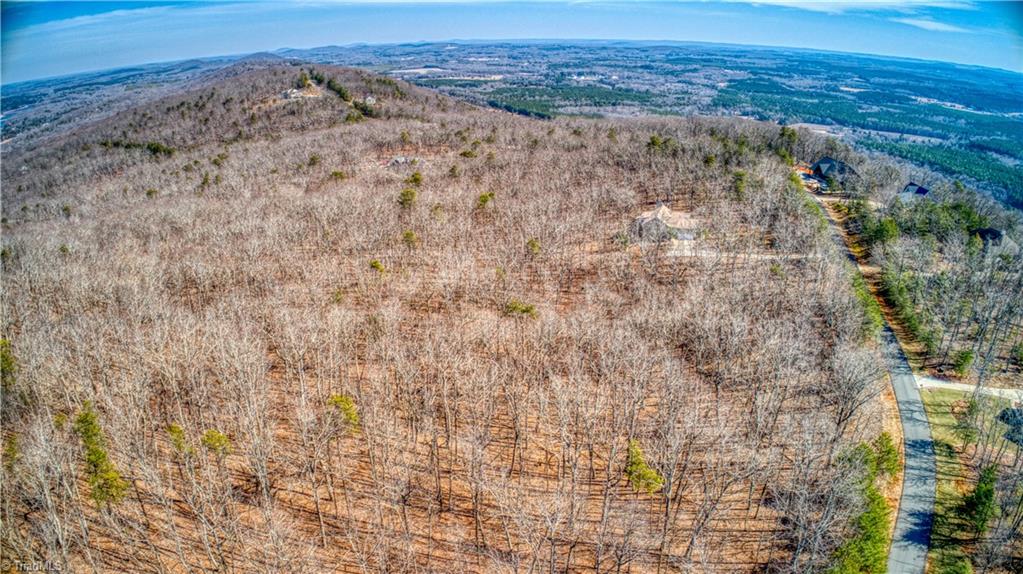 863 Sierra Trace Road Denton, NC 27239 - Photo 3 of 37