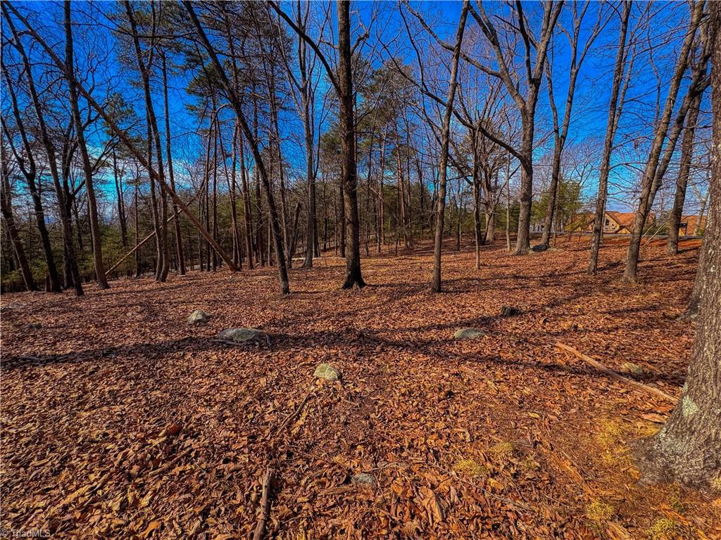 863 Sierra Trace Road Denton, NC 27239 - Photo 6 of 37